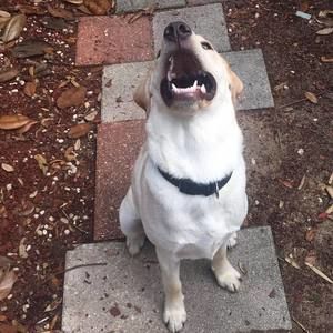 Meet your Posher, Jack